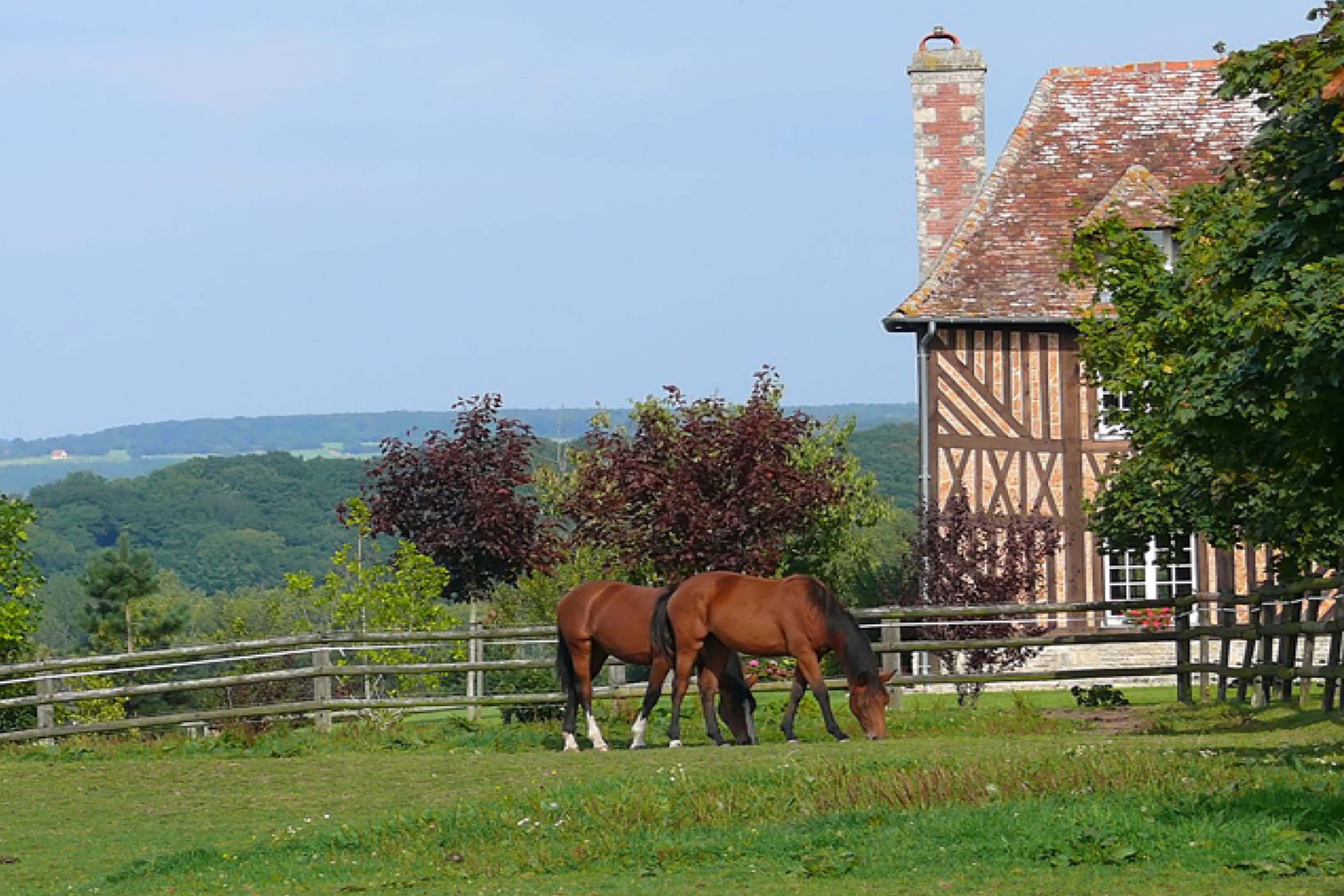 team building, gastronomie, rallye, normandei, pays d'auge, calvados, incentive, séminaire